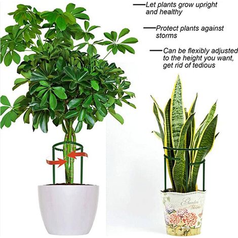 Trellis - Filet De Soutien Pour Plantes Grimpantes - Pour Concombres Tomates Et Légumes - 25 X 14 5 Cm - 6 Pièces (1/5)