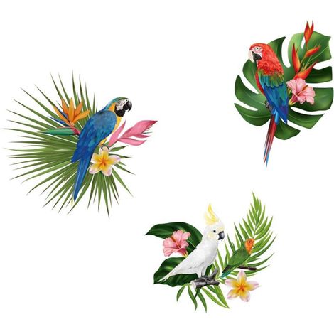 Autocollant mural perroquets exotiques (1/2)