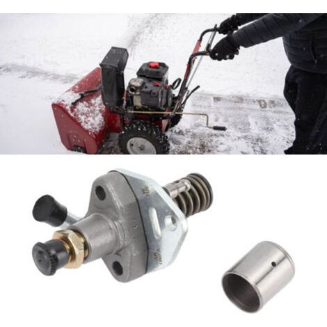 Pièces de Pompe à Injection pour Moteur Diesel 186FA Monocylindre Refroidi par Air - Utilisé pour Microtracteurs, Machines de Jardin et Générateurs - Entrée d'huile sur le Côté Droit- (1/2)