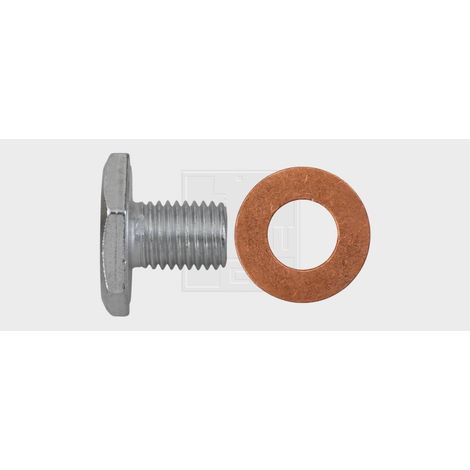 SWG Ölablassschraube Citroen Peugeot 10x1,25mm, inklusive Dichtring Blechschrauben (1/2)