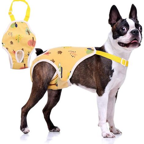 Couche lavable et réutilisable pour chienne et culotte hygiénique (jaune, taille XL). (1/5)