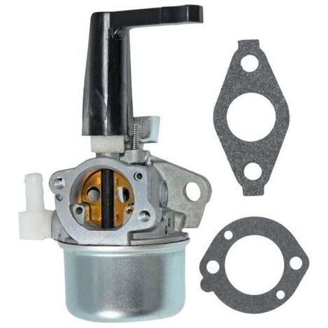 Convient pour carburateur 696065 697422 110402 110412 215369, compatible avec moteurs 5,5 CV et 6,5 CV, pièces de rechange pour entretien et réparation de moteur thermique (1/4)