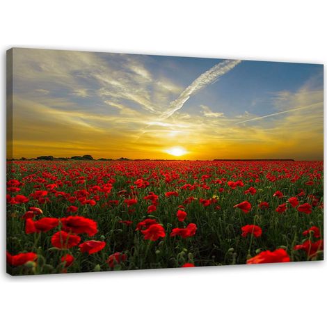 Tableau sur toile, Prairie de coquelicots rouges au soleil - 100x70 (1/5)