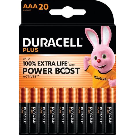 Pile Dur Plus Aa X20