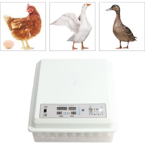 Incubateur d'œufs automatique 64 œufs avec contrôle intelligent de température pour poules, cailles, canards et autres oiseaux (EU Plug 250V) (1/4)