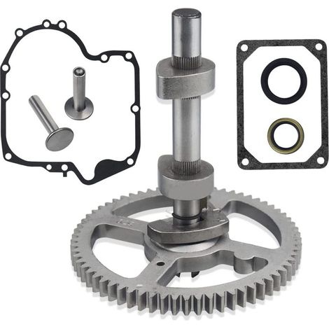 Pour Briggs Stratton 793880 Arbre à cames 793583 792681 791942 795102 Joint 697110 H465 (1/5)