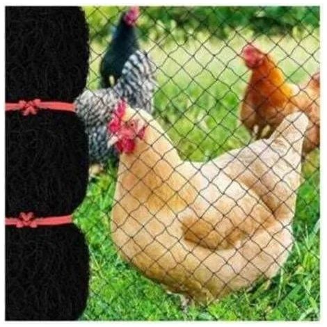Filet anti-oiseaux de 7,6 x 15,2 m à mailles carrées de 2,5 cm, filet de jardin réutilisable pour poulaillers, filet en nylon pour clôtures anti-cerfs afin de protéger les arbres fruitiers de la lumiè (1/3)