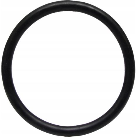 Oring Vicon PZ 64790081822F GRANIT 90081822