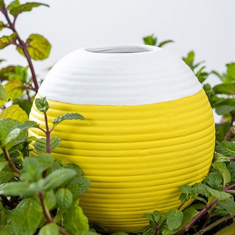 Aspersor automático para plantas de pizarra – Vaso nebulizador extraíble con boquilla de porosidad de arcilla, 100 ml/430 ml (1/5)