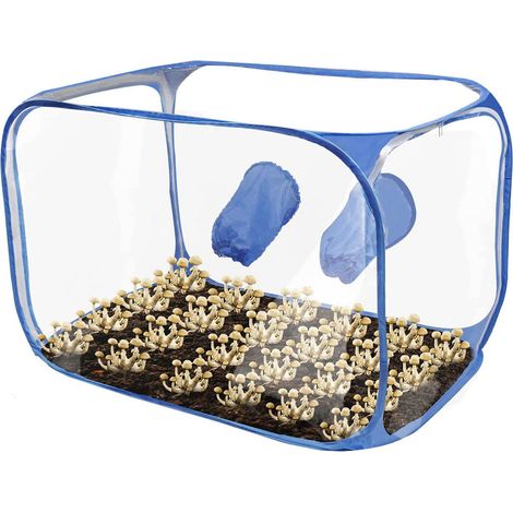 Kit de tente de culture de champignons portable et pliable avec boîte à air statique et système de rebond. (1/5)