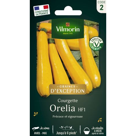Vilmorin - Courgette Orelia HF1 (1/4)