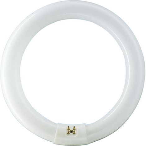 Philips 55956215 Ampoule G10Q TL-E Circular 32W/33-640 1CT/12 2050lm