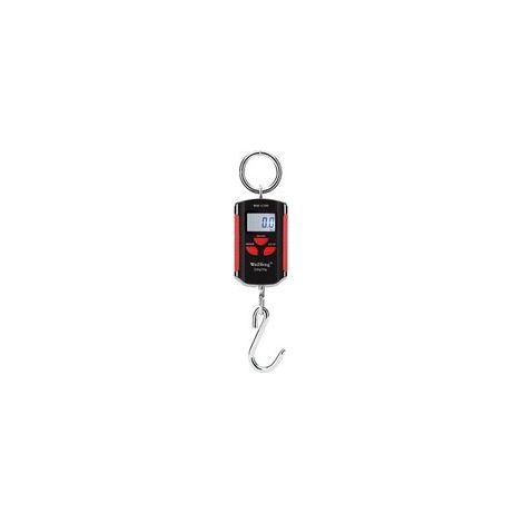 Balance de grue électronique portable 200 kg / 100 g, crochet inox, cadre rouge – (1/5)