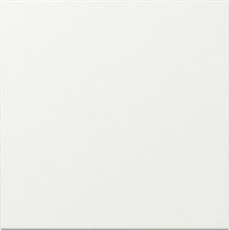 Gira WIPPE GERADE RWS M (349627 SYSTEM 55)