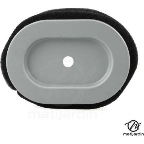 Filtre à air moteur série 550 – équivalent Briggs 796970 (1/5)