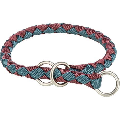 Collare da addestramento Trixie Azzurro Rosso 47-55 cm (1/2)