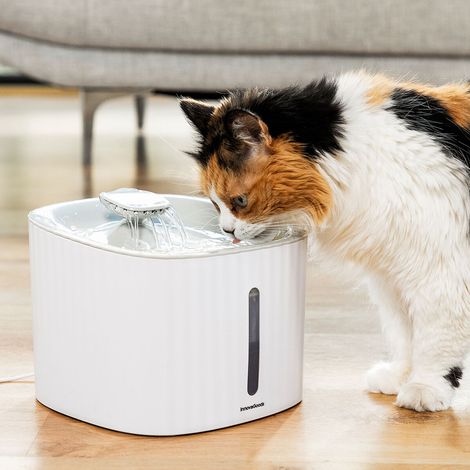 Fontaine à eau blanche 3L pour animaux Drinkatt InnovaGoods, gadget pour chat (1/7)