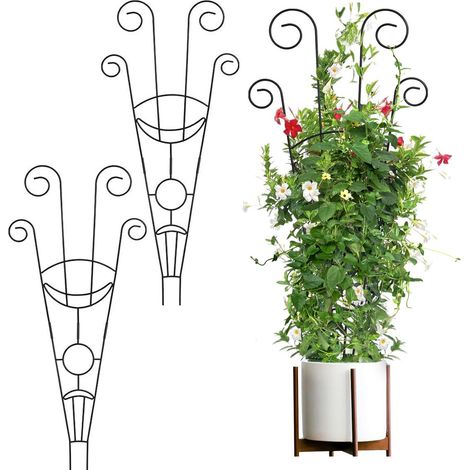 Metallene Pflanzenstütze für Kletterpflanzen – Vertikale Stütze für Rosen, Weinreben und Blumentöpfe (76 x 30 cm, 2 Stück) (1/5)