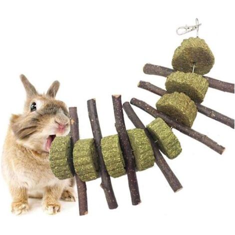 Jouets pour lapins à mâcher en bois de pommier biologique, bâtons molaires pour petits animaux de compagnie, lapins, améliore les accessoires pour jouets pour chiens et chats (1/2)