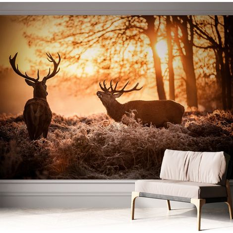 Selbstklebende Tapete modern Wohnzimmer - Wanddeko Schlafzimmer - Tapete mit Motiv Rehe am Morgen 312x219 cm (1/5)