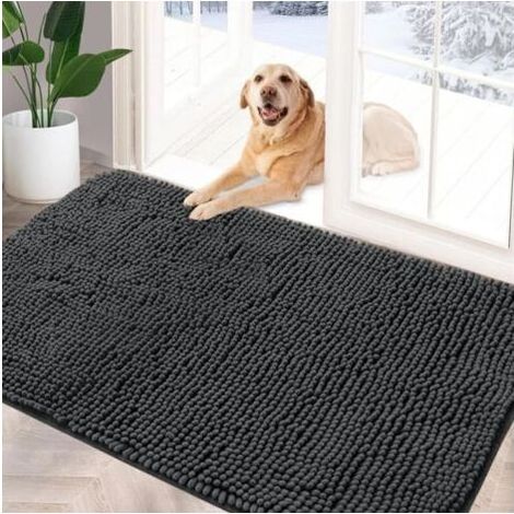 Tapis en chenille absorbant, paillasson antidérapant, pour chien boueux, tapis lavable, à séchage rapide 60x90cm Gris (1/4)