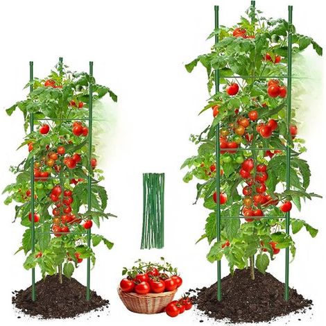Tuteur à tomates, lot de 2 treillis pour tomates, treillis d'extérieur en forme d'obélisque pour le jardin, supports pour plantes grimpantes, légumes et fleurs, 120 cm (1/5)