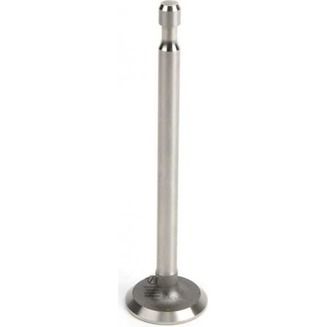 Soupape d'échappement pour moteur Briggs & Stratton N° 211 119 (1/5)