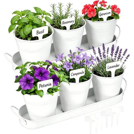 Pots De Fleurs, 6PCS Pots à Herbes Aromatiques avec 2 Soucoupes Pots Ovales en Métal Blanc pour Plantes D'Intérieur Succulentes Basilic Menthe Persil Cuisine Rebord De Fenêtre (1/5)