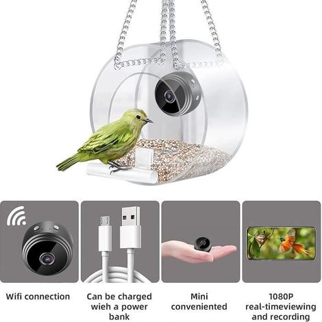 Mangeoire à oiseaux intelligente avec caméra - - Vision nocturne - Extérieur - Oiseau sauvage