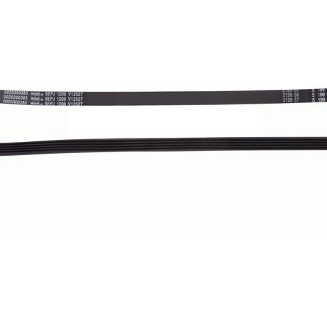 Correa 1208 J5  Compatible con Haier HW60-1079  C.O. 49046318  Transmisión Elástica Reforzada para Lavadora (1/2)