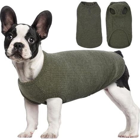 T-shirt chien – Pull tricoté doux extensible petits chiens, t-shirt rayures carlin mince, motif caniche vert, taille M (1/5)