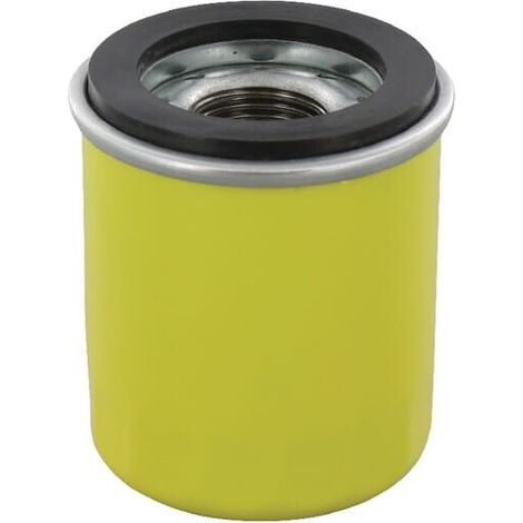 Filtro olio BRIGGS ET STRATTON 795990 (1/2)