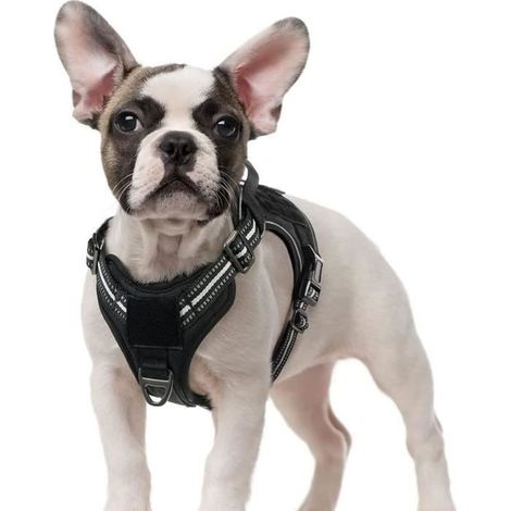 Harnais Chien Anti Traction, Harnais Tactique Chien Réfléchissant Réglable avec Poignée et Anneaux pour Entraînement Chasse Noir-S (1/4)