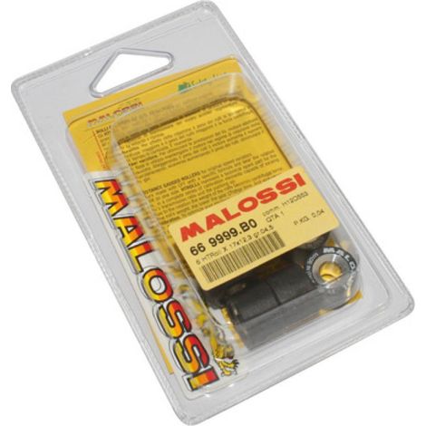 Galet rouleau de variateur Malossi pour Scooter Aprilia 50