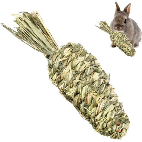 Jouets à mâcher pour Lapins - Soin des Dents pour Les gencives et Les Dents l'animal - Dentition Carotte d'anneau Boules d' pour des gerbilles, Cochon d'In (1/5)