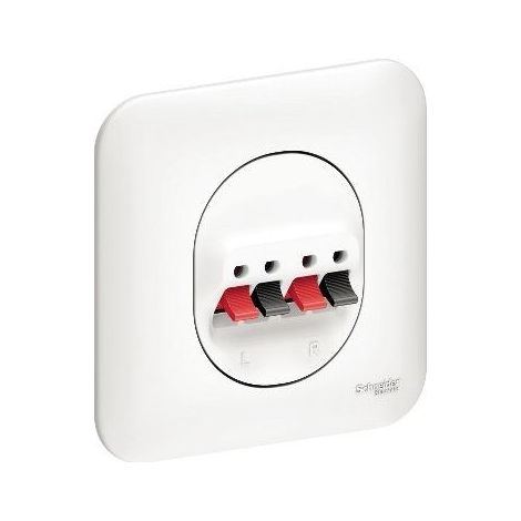 Schneider Electric – Prise haut parleur 2 sorties blanche – Plaque de fixation avec vis/griffes – Autre type de prise complète (1/3)
