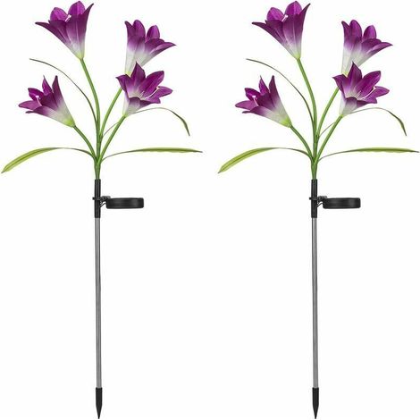 Lot de 2 lanternes solaires pour l'extérieur, lampes solaires LED pour la décoration de jardin-AquaForge (1/4)