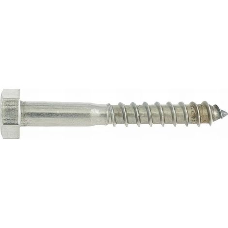 25 Vis Bois tête hexagonale DIN571 inox A2 - diamètre 8 mm - Diamètre 8 mm