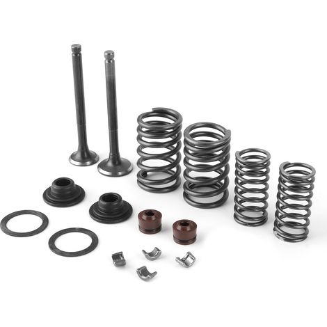 Kit 16 pièces Ressorts de Soupape Moteur Métal Poli pour GY6 50 60 80 100 125 150CC (1/5)
