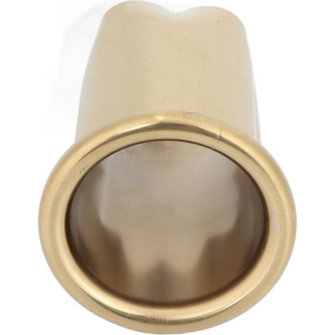 Support pour Sèche-Cheveux Murale, Porte-Sèche-Cheveux en Acier Inoxydable Doré, Étagère de Salle de Bain, Rangement Salon (1/5)