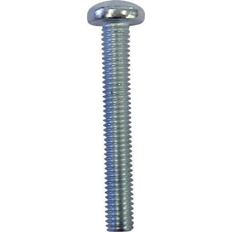 VIS À TÊTE BOMBÉE TOOLCRAFT 839892 100 PC(S) M4 10 MM TÊTE BOMBÉE TORX ACIER INOXYDABLE DIN 7985 (1/3)