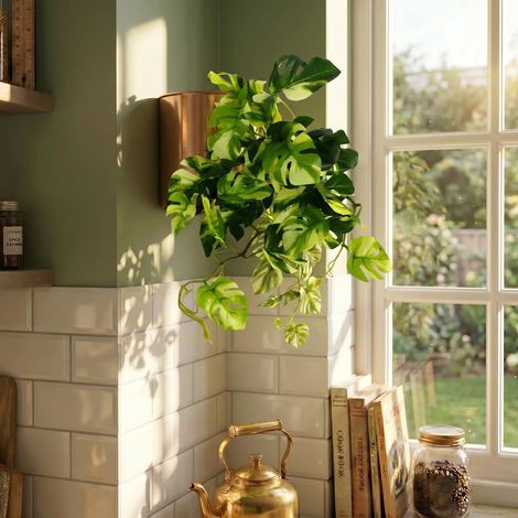 25cm Artificial Trailing Variegated Monstera Vine Plant Premium (1/4)