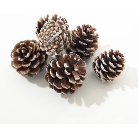 Décoration de fête - - 9PCS Pomme de Pin - Naturel - Marron - À suspendre (1/5)