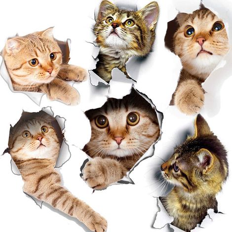 Lot de 6 stickers muraux 3D : Autocollants chats — Décoration murale pour enfants / Fresques murales en vinyle amovible