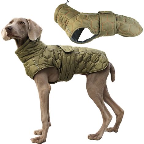 Veste d'hiver pour chien, veste 2 en 1 pour temps froid, veste d'hiver pour chien avec bandes réfléchissantes de sécurité et harnais réglable (taille M) (1/5)