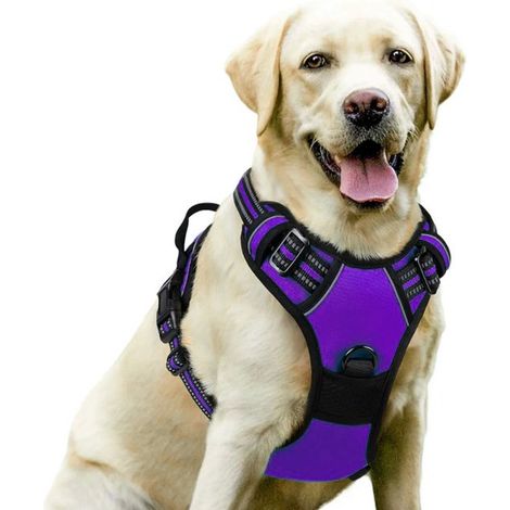Pettorina antistrappo per cani, facile da indossare, gilet riflettente regolabile, chiusura frontale, per cani di taglia media e grande, taglia L, blu pavone. (1/5)