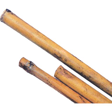 CANNA BAMBOO- - mm.24/26 h.210 - 50 pezzi T-REX