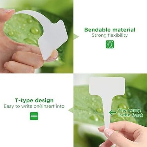 Etiquetas de plástico tipo T para plantas, etiquetas para viveros y jardines, etiquetas reutilizables para jardinería con marcadores, blancas, 100 unidades. (1/4)