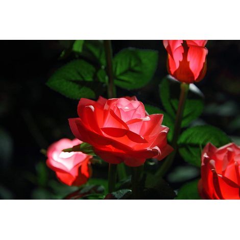 Solar Lights Outdoor Flower Lights Decorative for Garden, Yard, Patio, Pathway, Rainproof, Red, 4 Pack