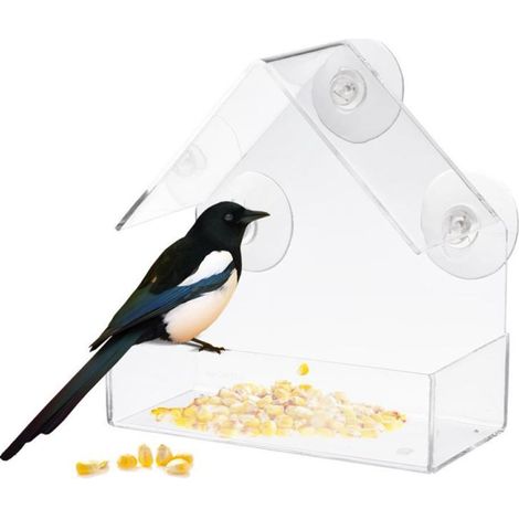 Nourrissoir pour oiseaux en verre acrylique transparent, fixation à fenêtre, mangeoire extérieure pour oiseaux, modèle vitré clair.